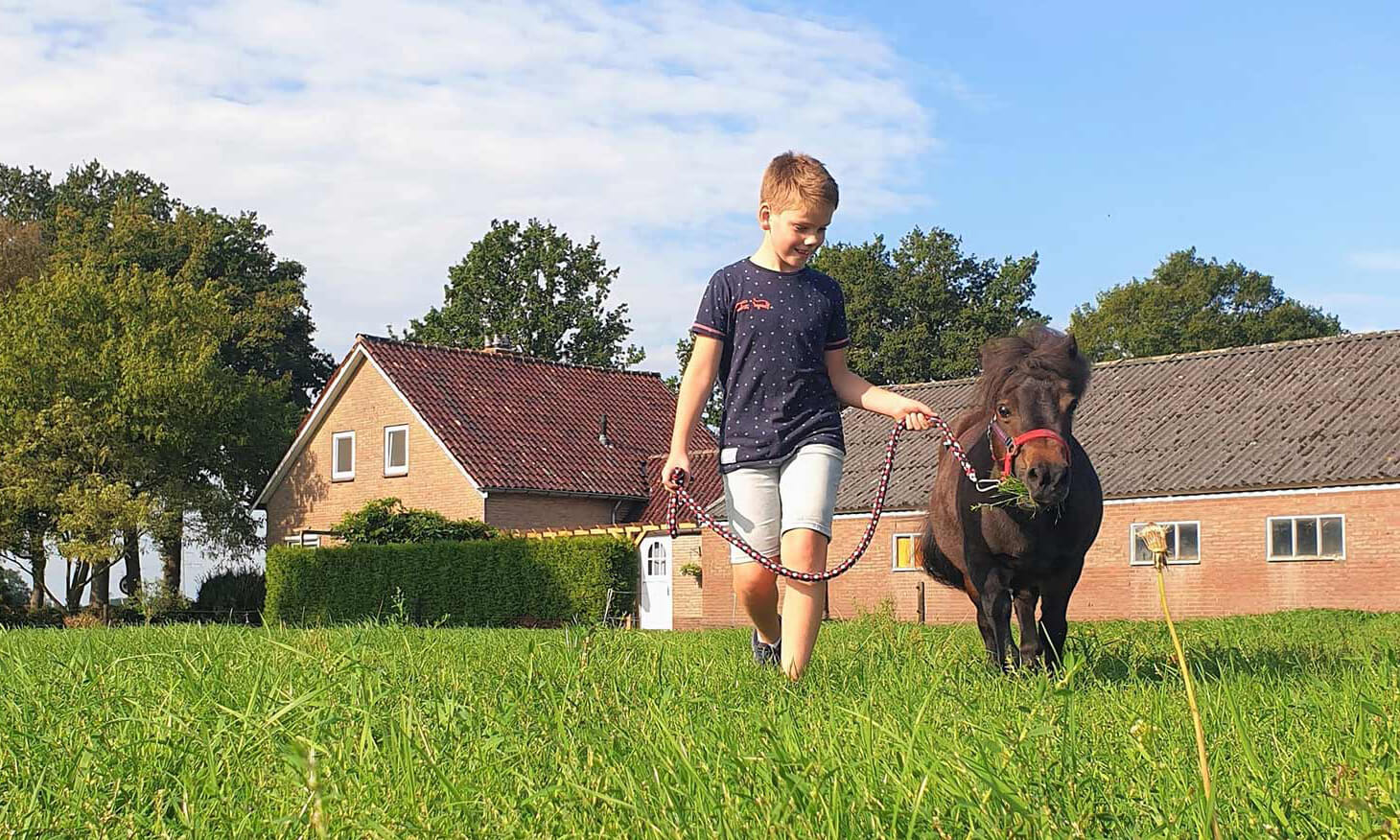 Jongen met paardje