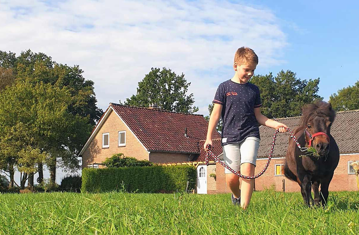 Jongen met paardje